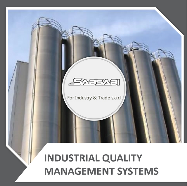 SABSABI - Integrating ISO 9001 Quality standards into industrial practices